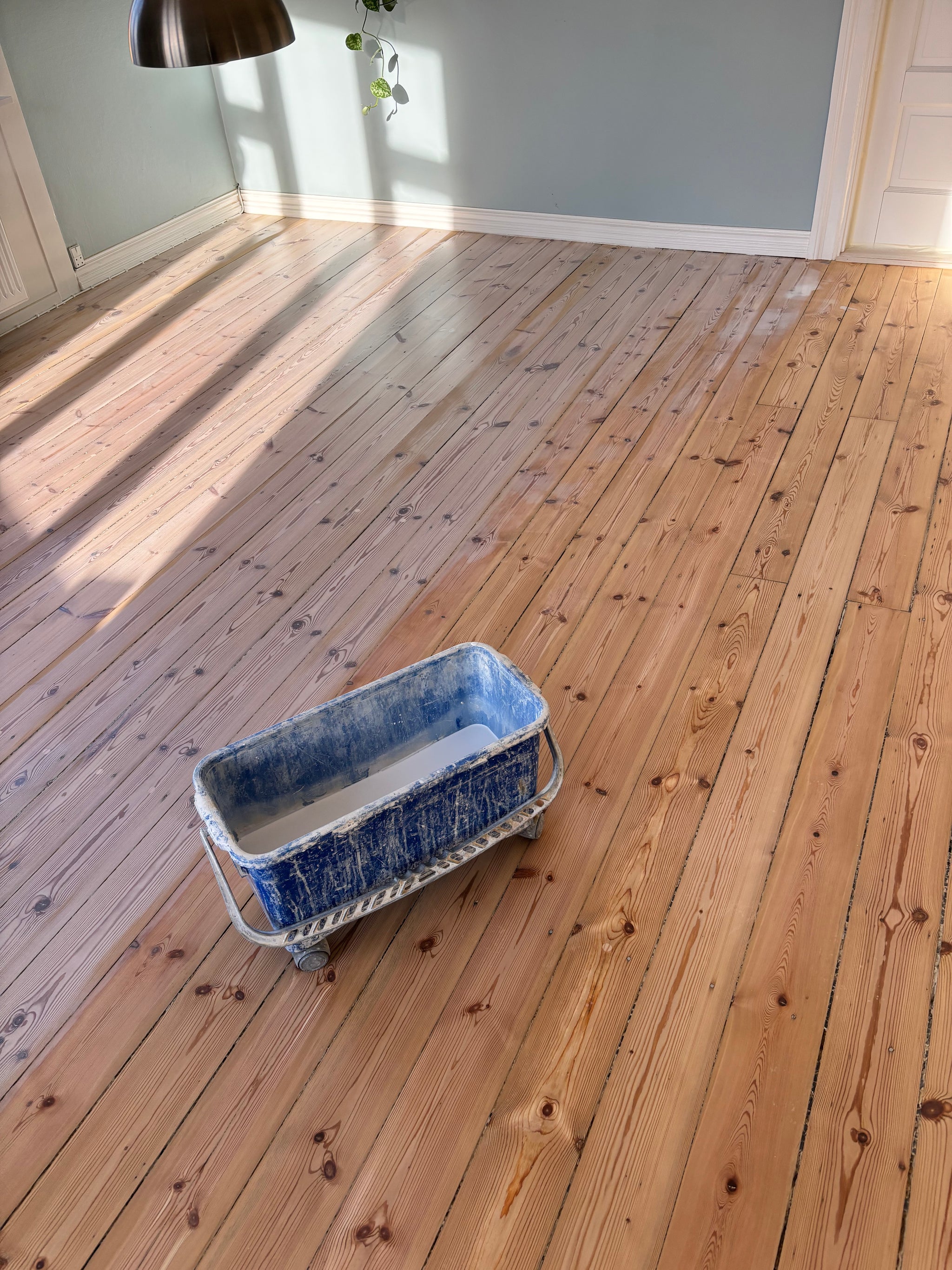 Pleje til sæbe/lud behandlede gulve